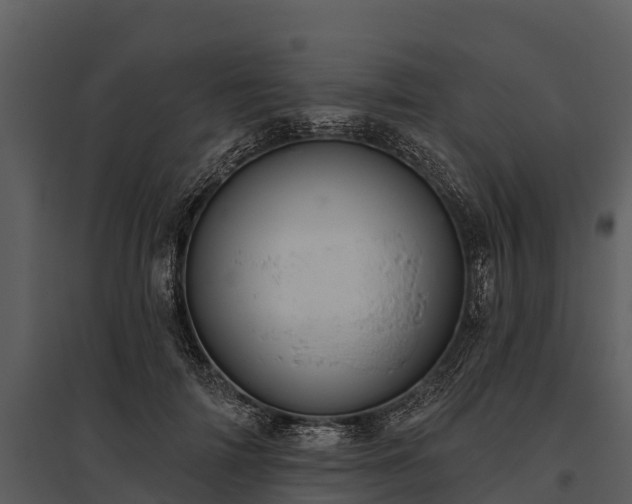 X0000095680698200801151126