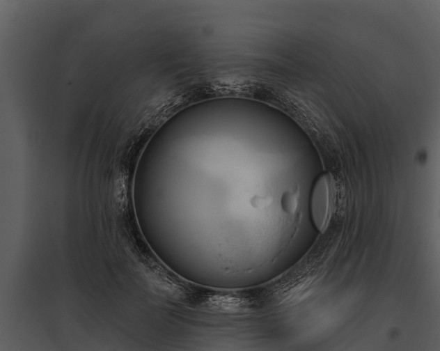 X0000095680699200801151126