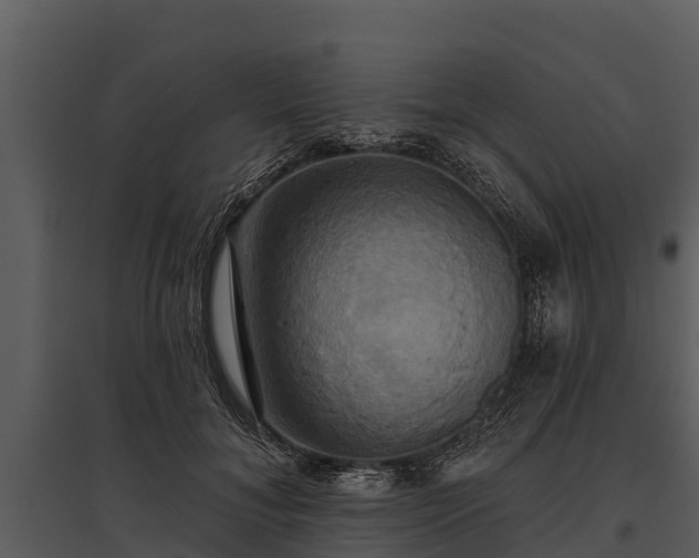 X0000095680700200801151126
