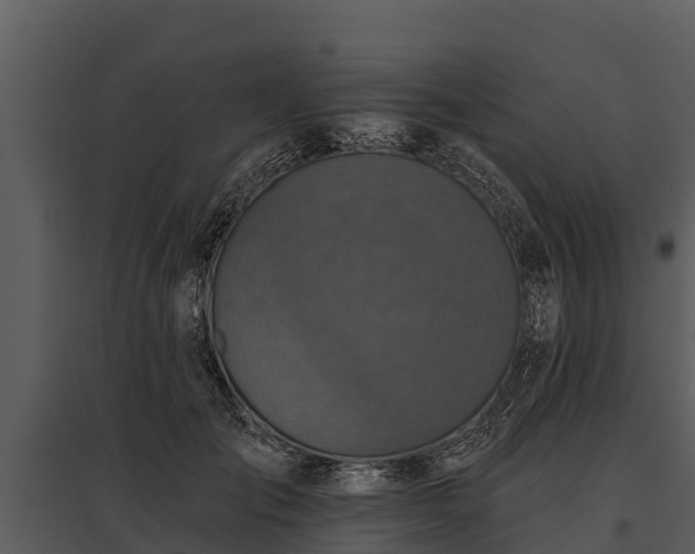 X0000095680701200801151126