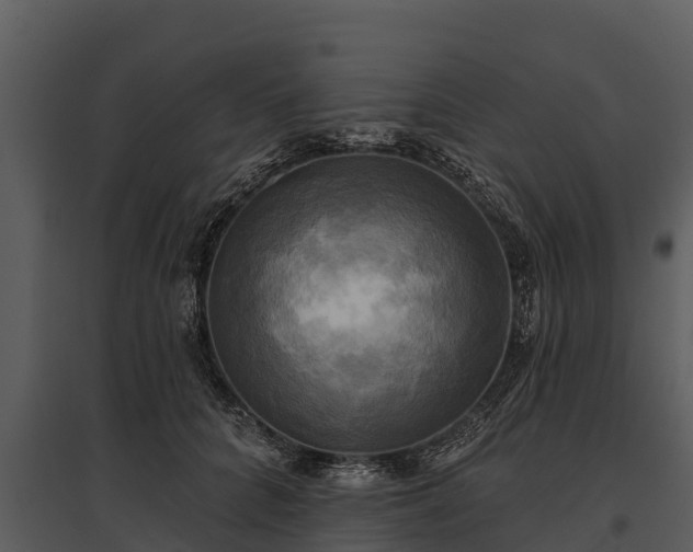 X0000095680704200801151126