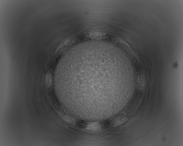X0000095680705200801151126