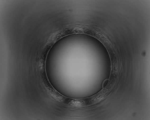 X0000095680706200801151126