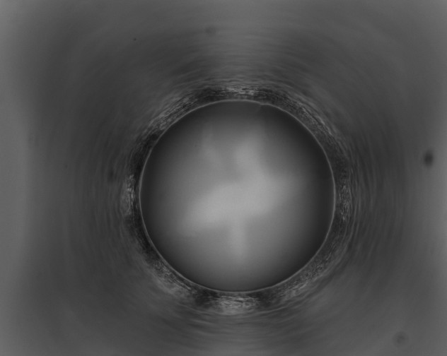 X0000095680707200801151126