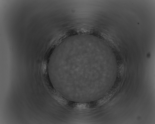 X0000095680709200801151125