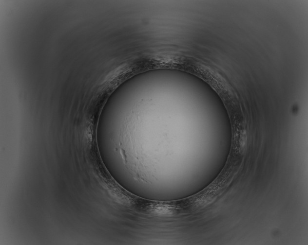 X0000095680710200801151125