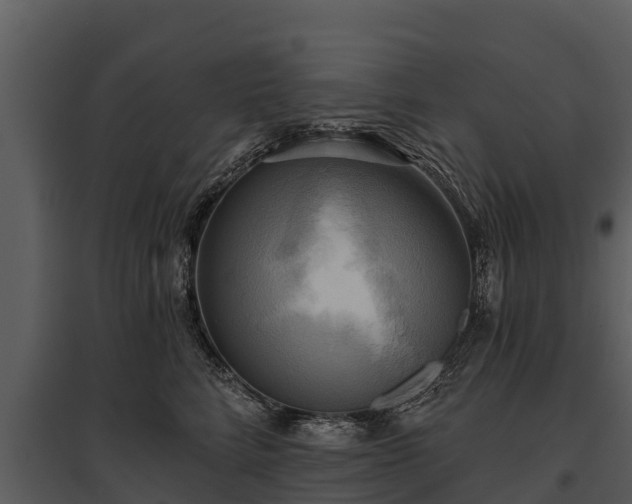 X0000095680712200801151125