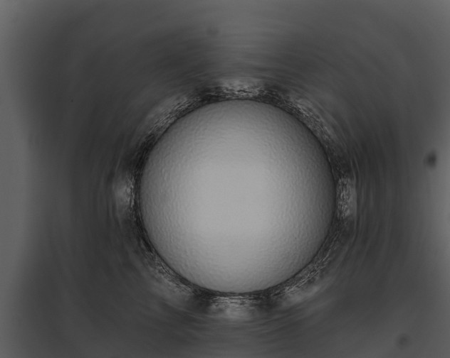 X0000095680713200801151125