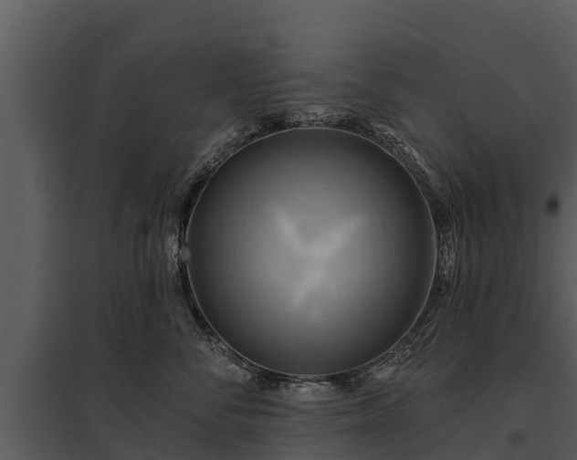 X0000095680716200801151125