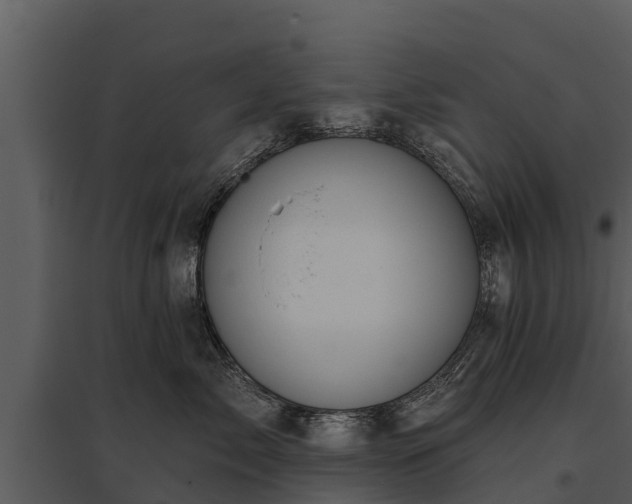 X0000095680717200801151125