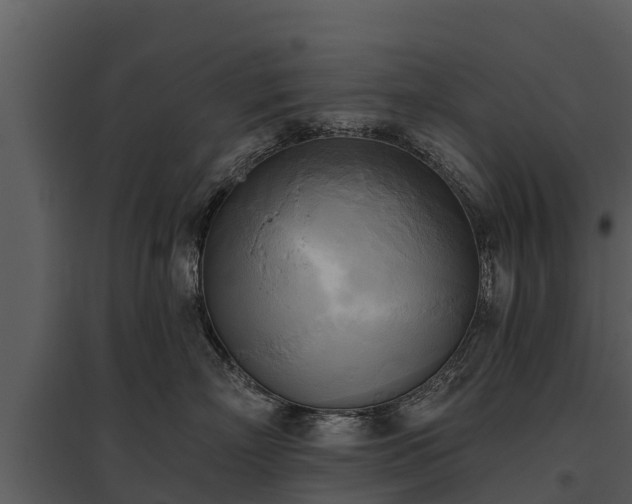 X0000095680718200801151125