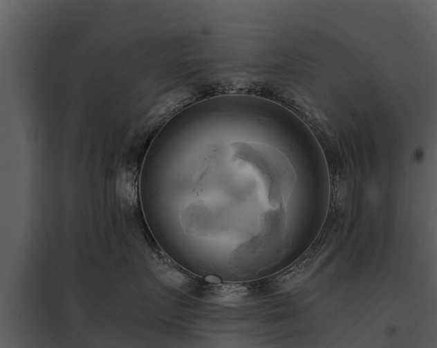X0000095680719200801151125
