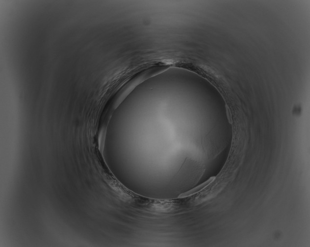 X0000095680720200801151125