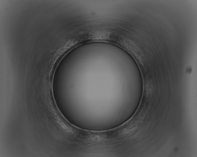 X0000095680721200801151125
