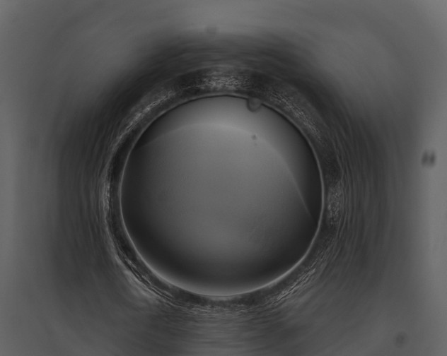 X0000095680722200801151125