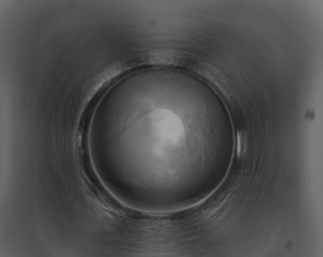 X0000095680723200801151125