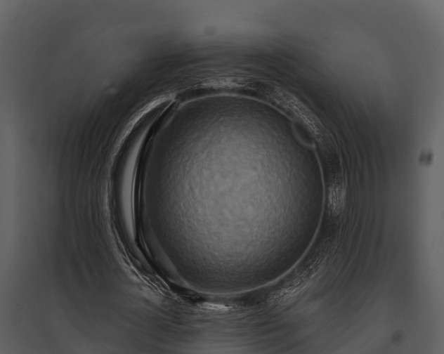 X0000095680724200801151125