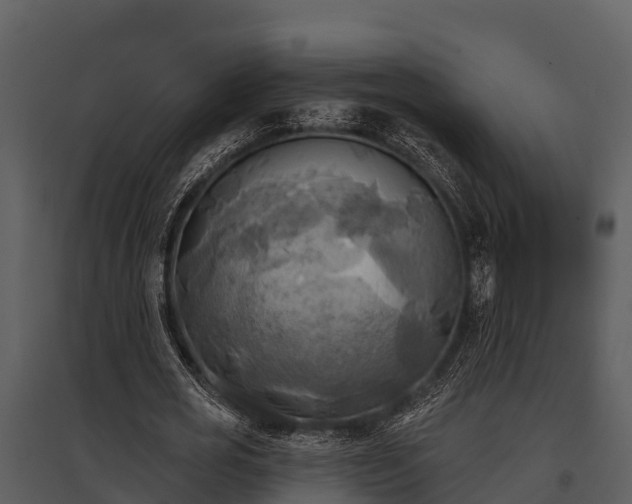 X0000095680725200801151125