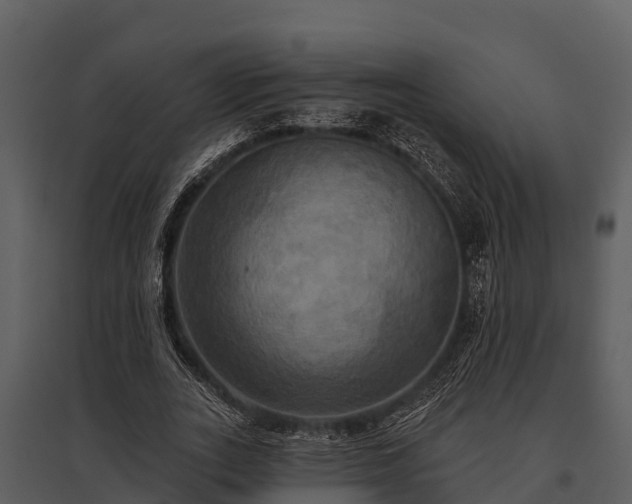 X0000095680727200801151125
