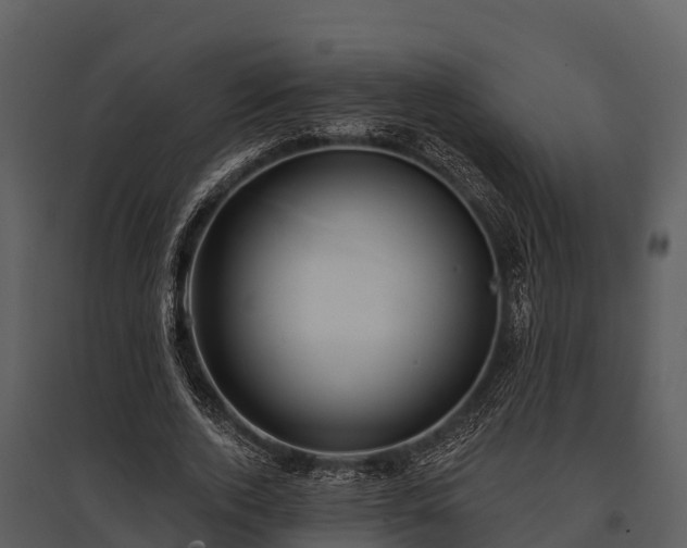 X0000095680728200801151125