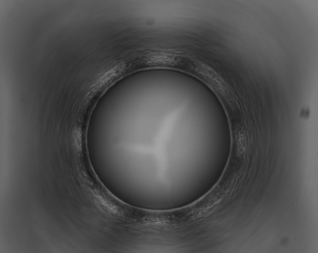 X0000095680729200801151125