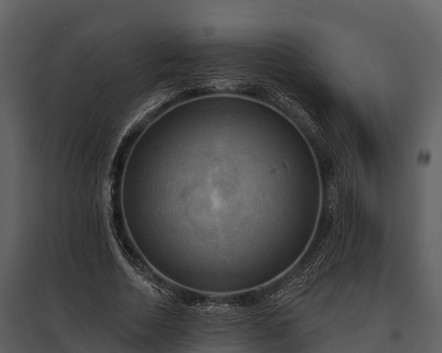X0000095680730200801151125