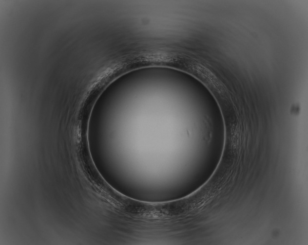 X0000095680731200801151125