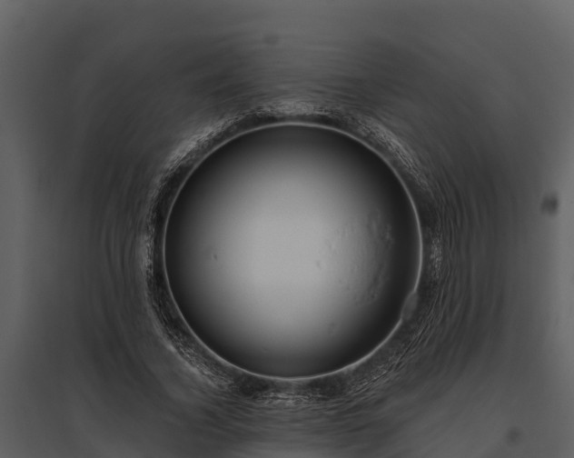 X0000095680732200801151125