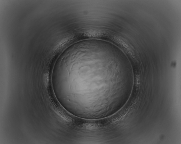 X0000095680733200801151125