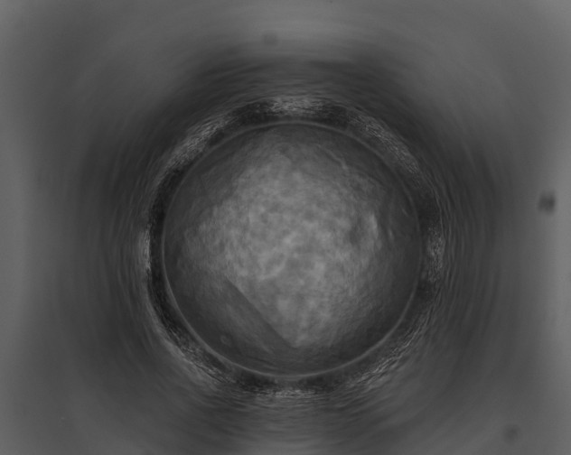 X0000095680734200801151125