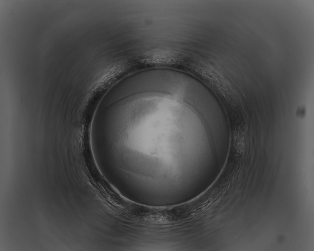 X0000095680735200801151125