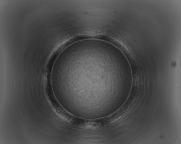 X0000095680736200801151125
