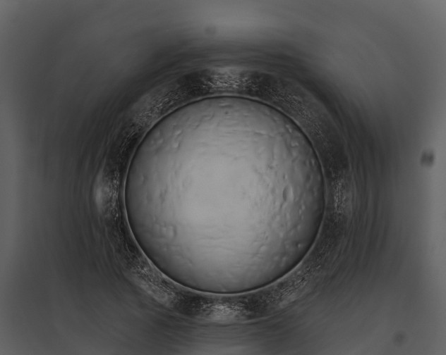 X0000095680737200801151125