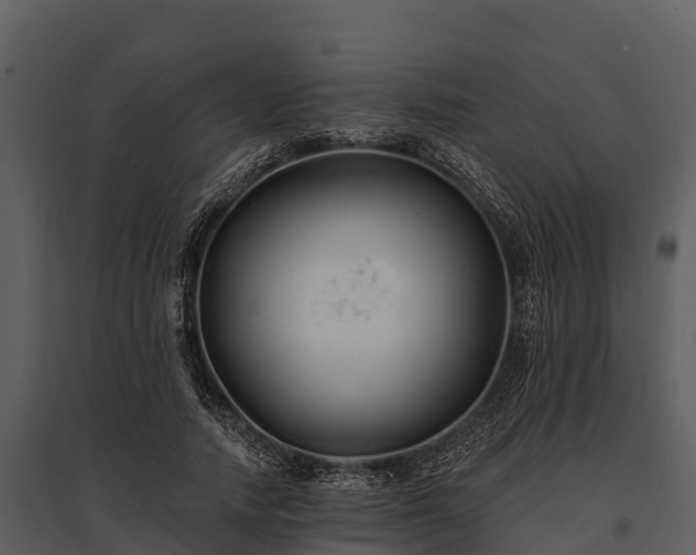 X0000095680738200801151125