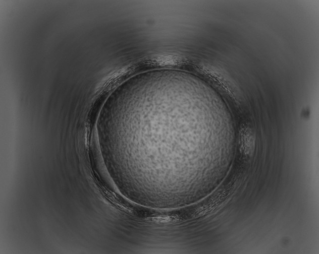 X0000095680740200801151125