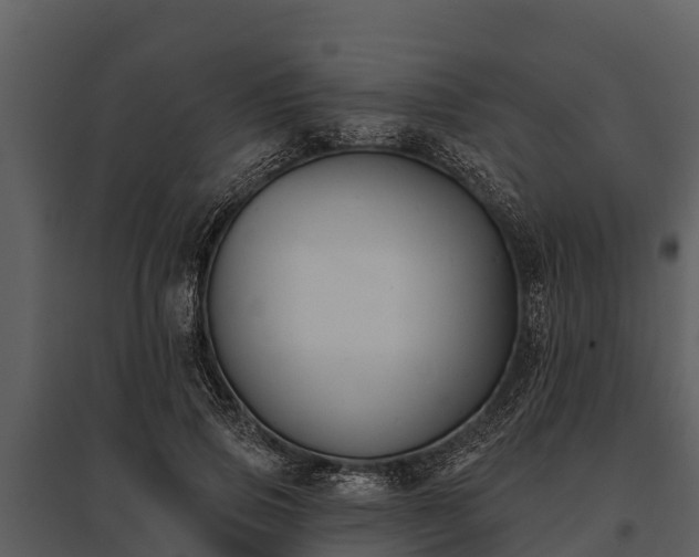 X0000095680741200801151125