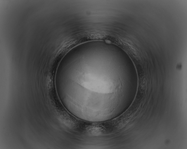 X0000095680743200801151125