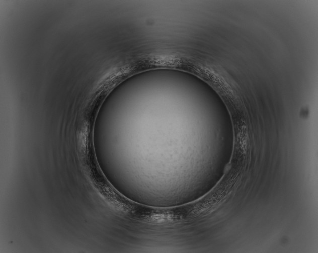 X0000095680744200801151125