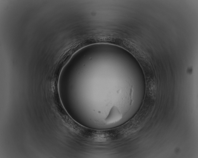 X0000095680746200801151125
