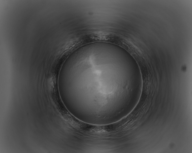 X0000095680747200801151125