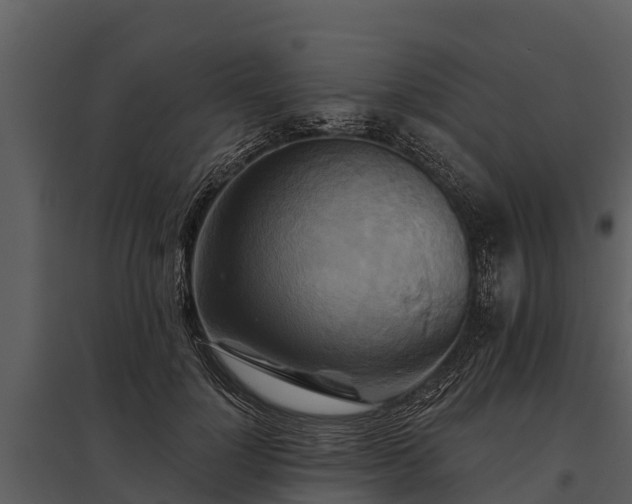 X0000095680748200801151125