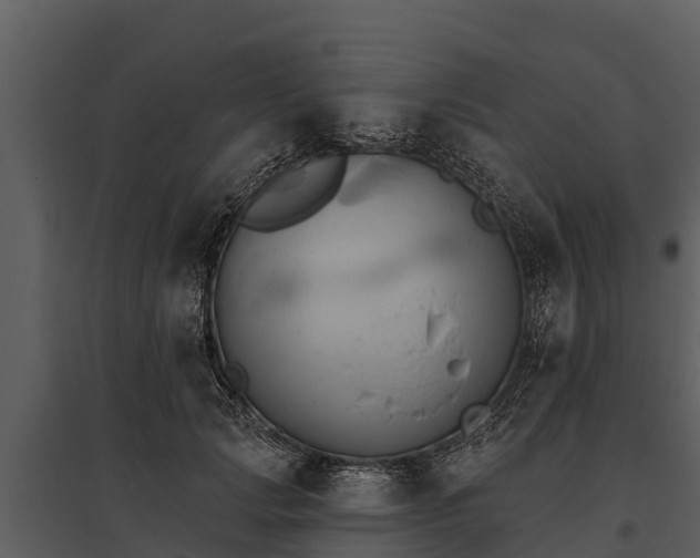 X0000095680749200801151125