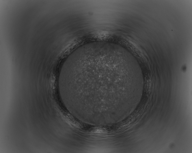 X0000095680750200801151125