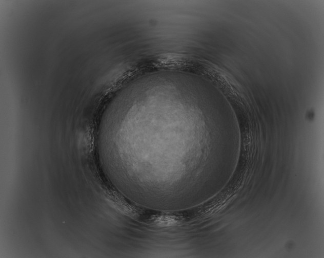 X0000095680751200801151125