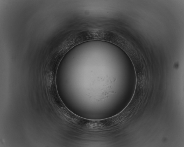 X0000095680752200801151125