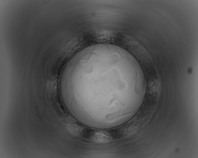 X0000095680753200801151125
