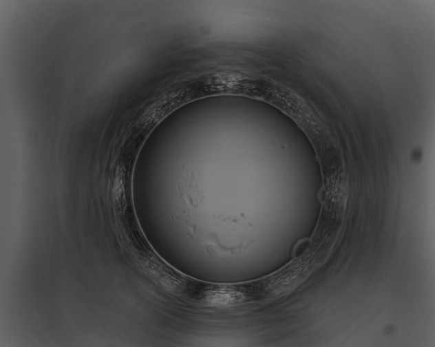 X0000095680754200801151125
