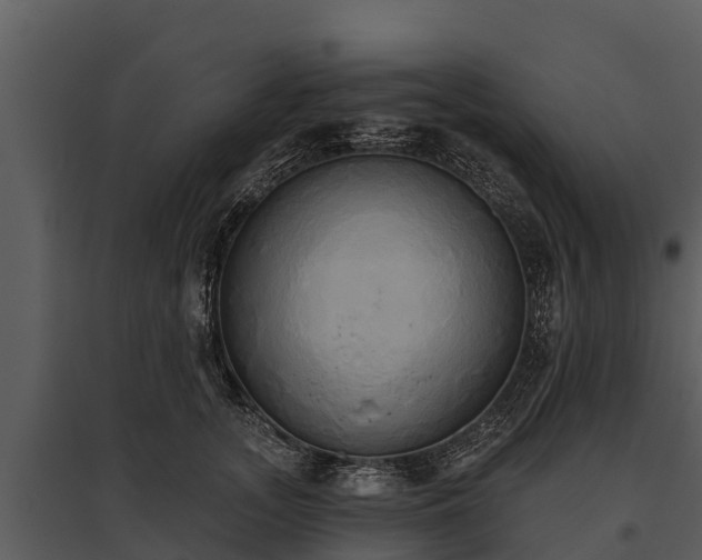 X0000095680755200801151125