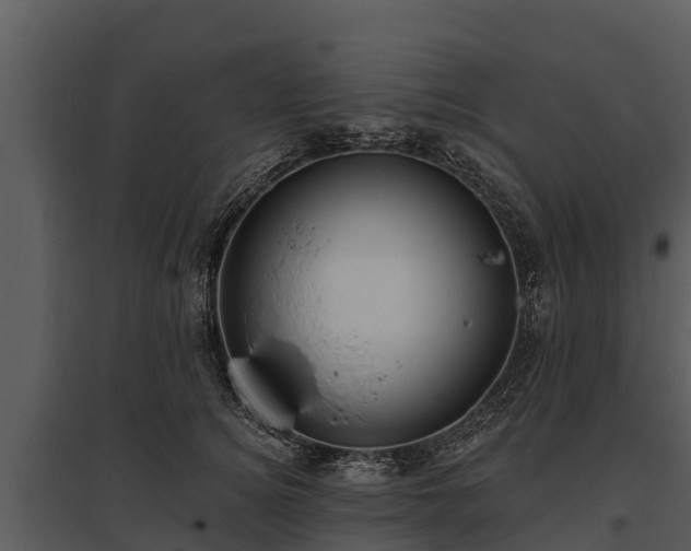 X0000095680756200801151125