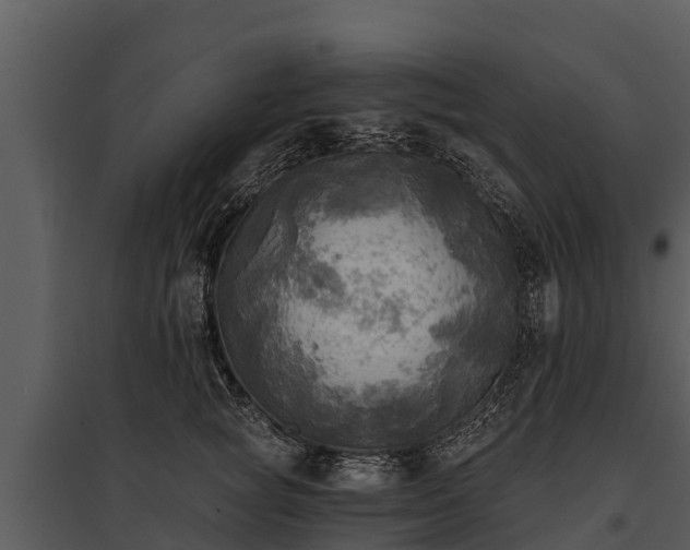 X0000095680757200801151125